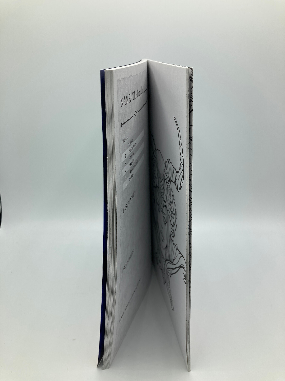 The Game Master’s Coloring Activity Book of Magic & Miscellany Paperback