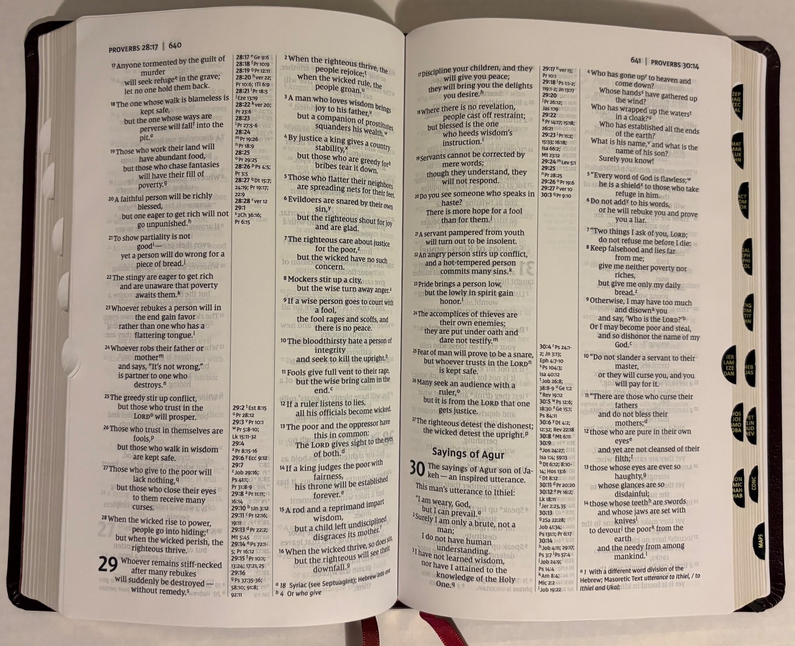 NIV, Thinline Reference Bible, Bonded Leather, Burgundy, Red Letter Edition NICE