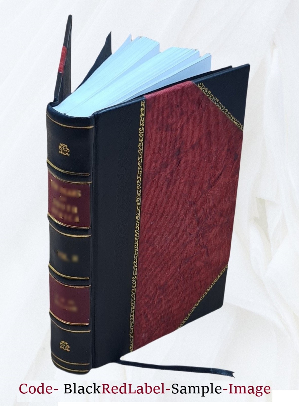 Nobilta di dame del Sr. Fabritio Caroso da sermoneta, libro, alt [Leather Bound]