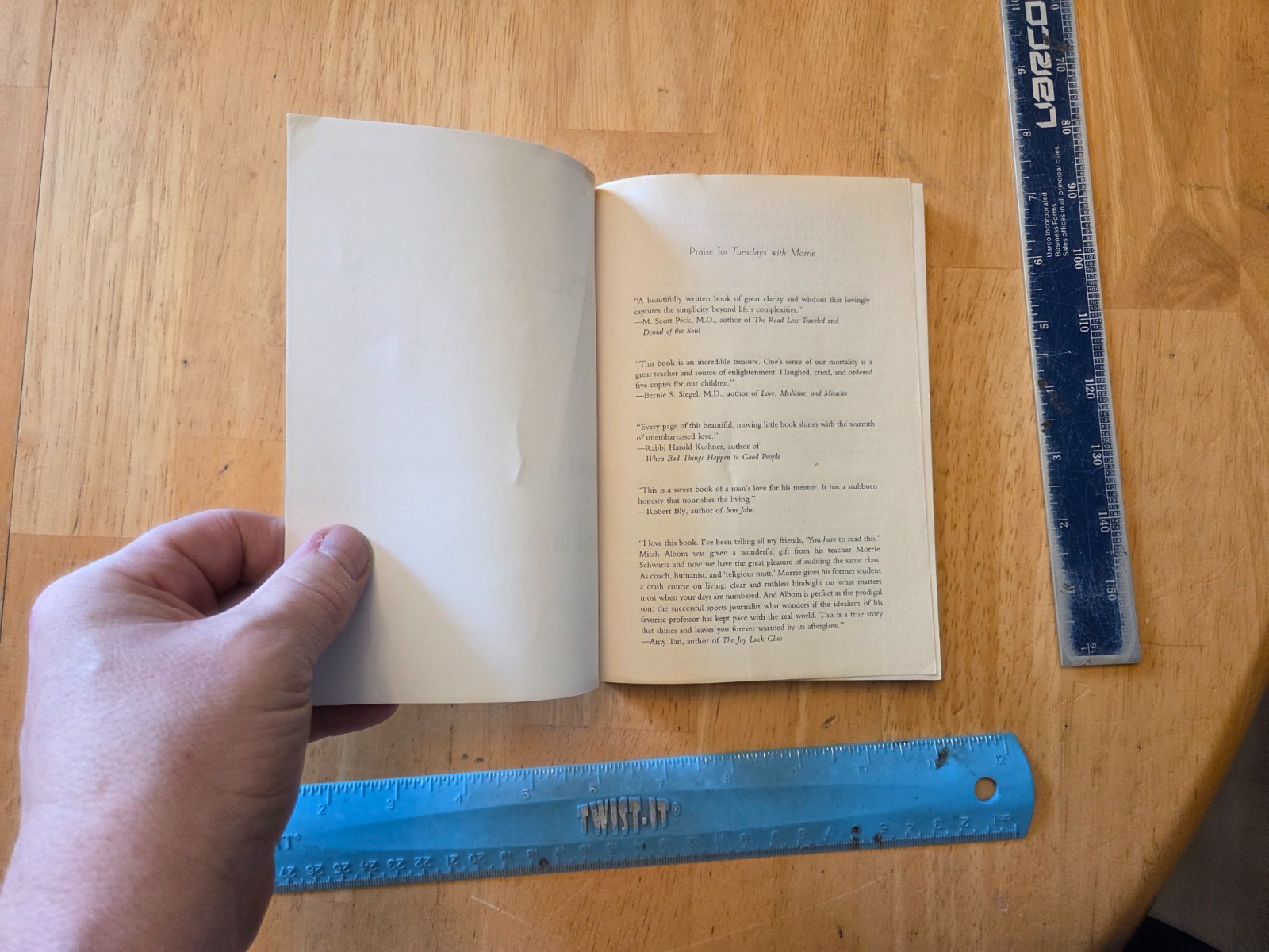 Tuesdays with Morrie : An Old Man, a Young Man by Mitch Albom (2002, Trade Paper