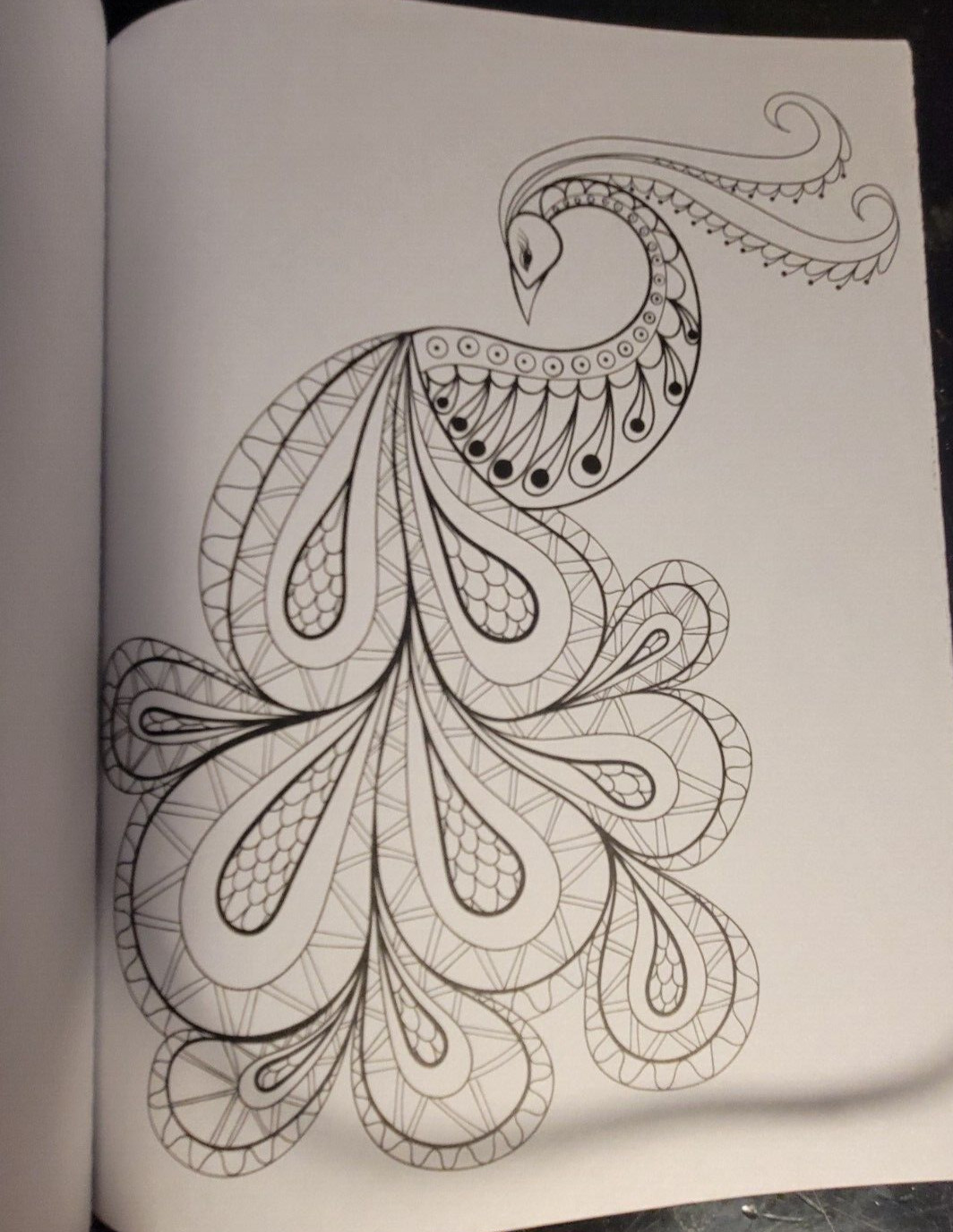 COLOR ME MAGNIFICENT Vol 11 Adult Coloring Book With 47 Prints Ready To Frame