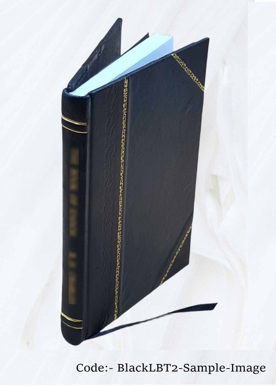 Grammatik der plattdeutschen Sprache. Zur Würdigung zur K 1858 [Leather Bound]