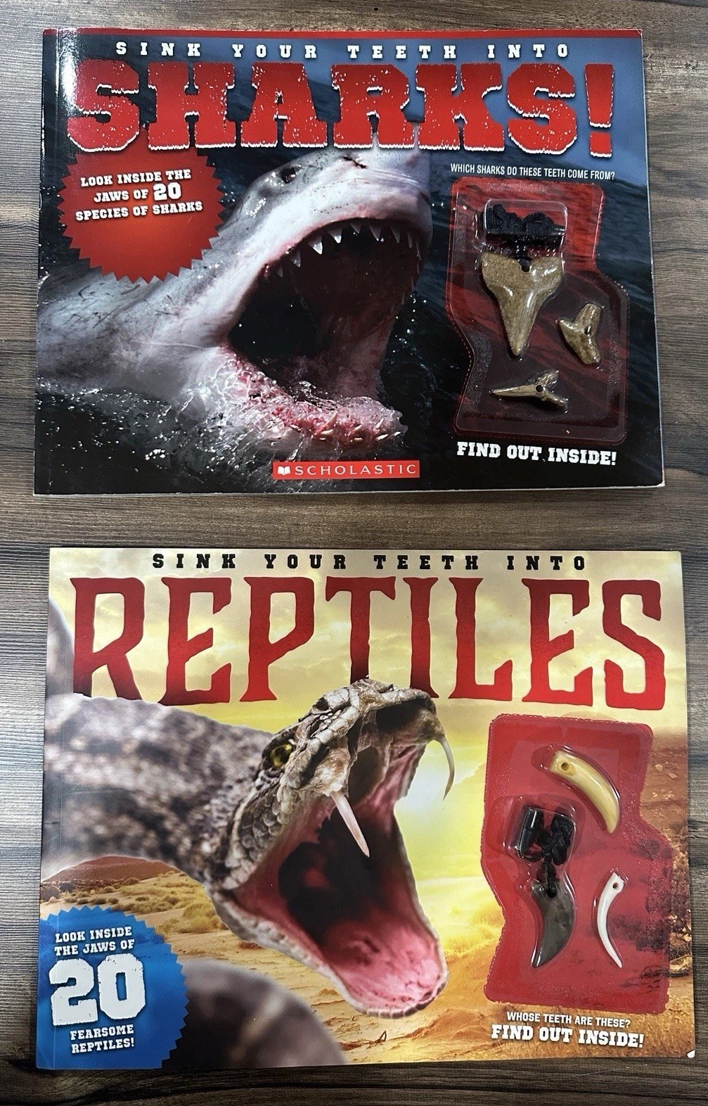 Sink Your Teeth Into… Sharks! by David Gordon and L. J. Tracosas (2014