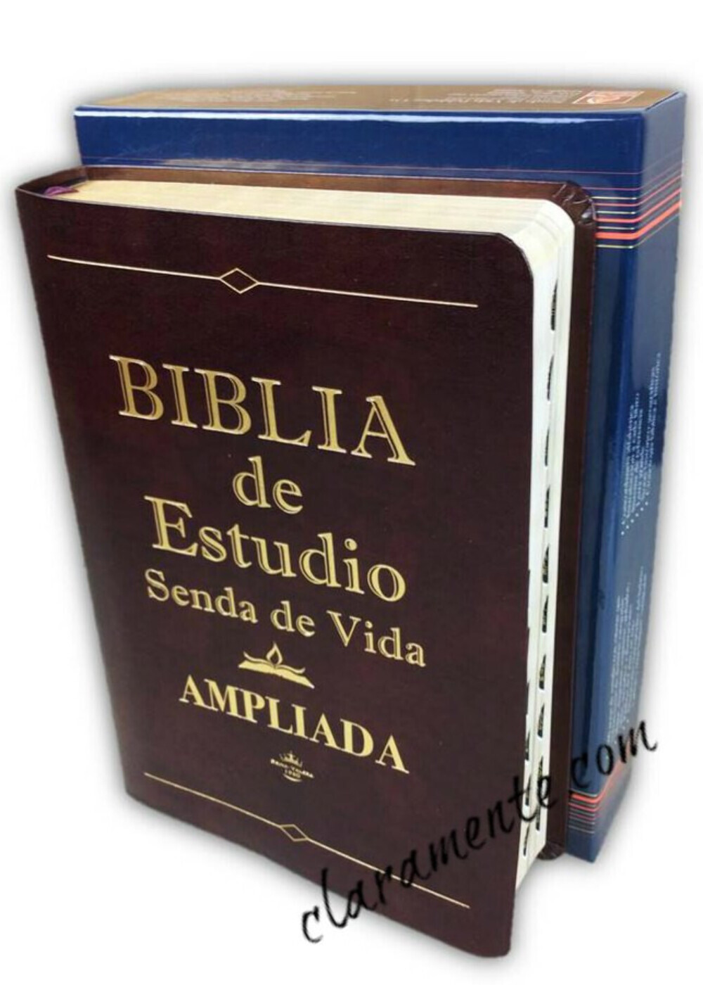 Biblia Pastoral de Estudio Senda de Vida Ampliada RV1960 marrón con indice
