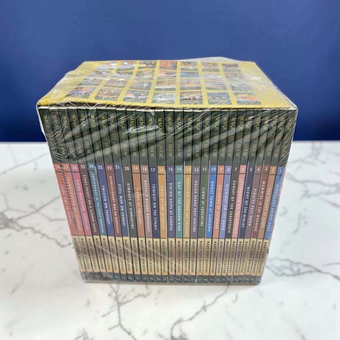 Set 4B: Magic Tree House A Library of Books 1-28 – Mary Pope Osborne Collection