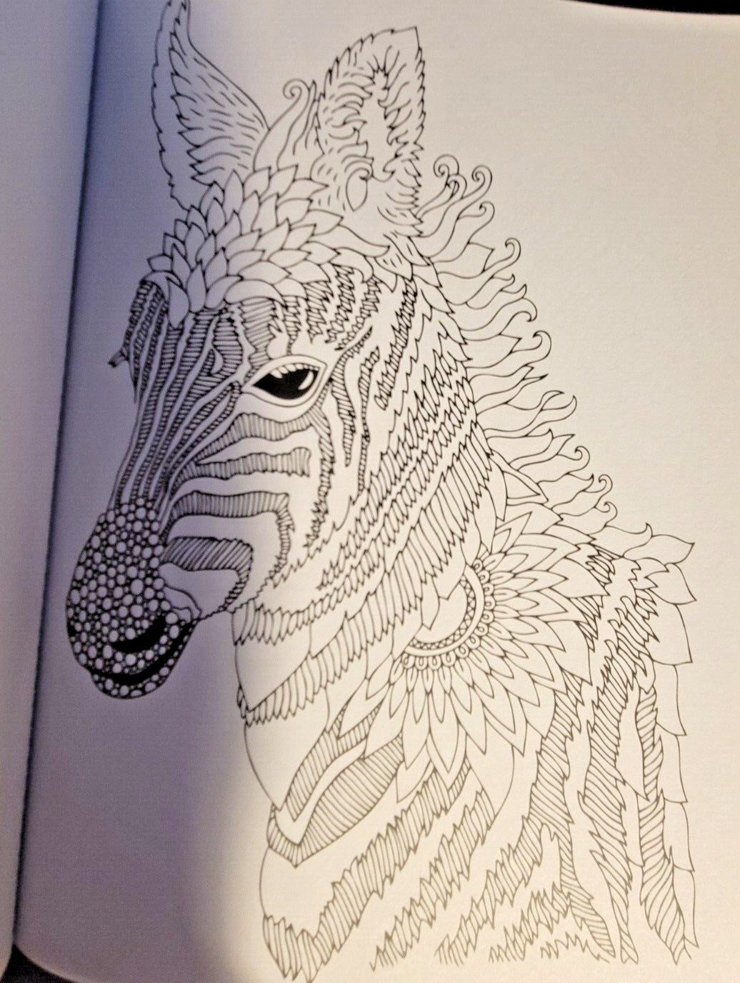 MAGNIFICENT CREATURES Vol 21 – Adult Coloring Book by TOPIX MEDIA – 47 PRINTS