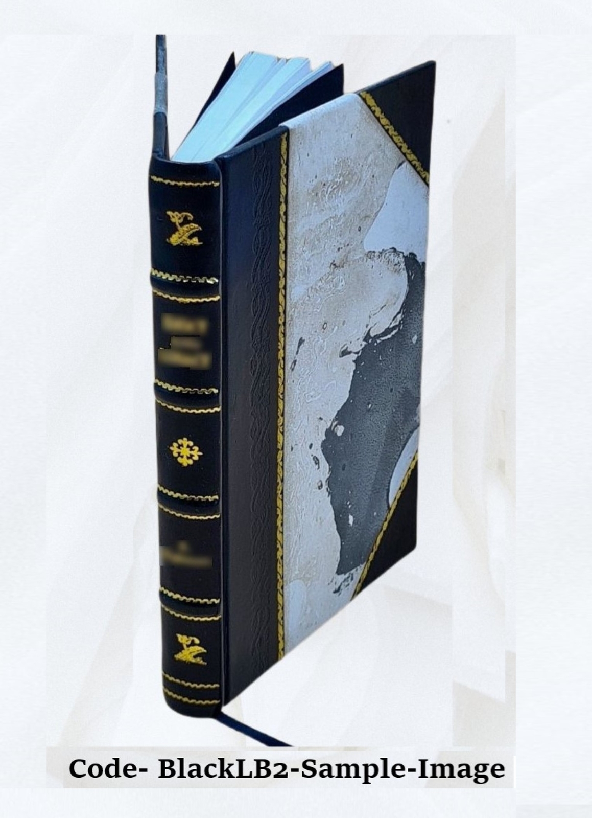 Missions-Taube 1879 [Leather Bound]