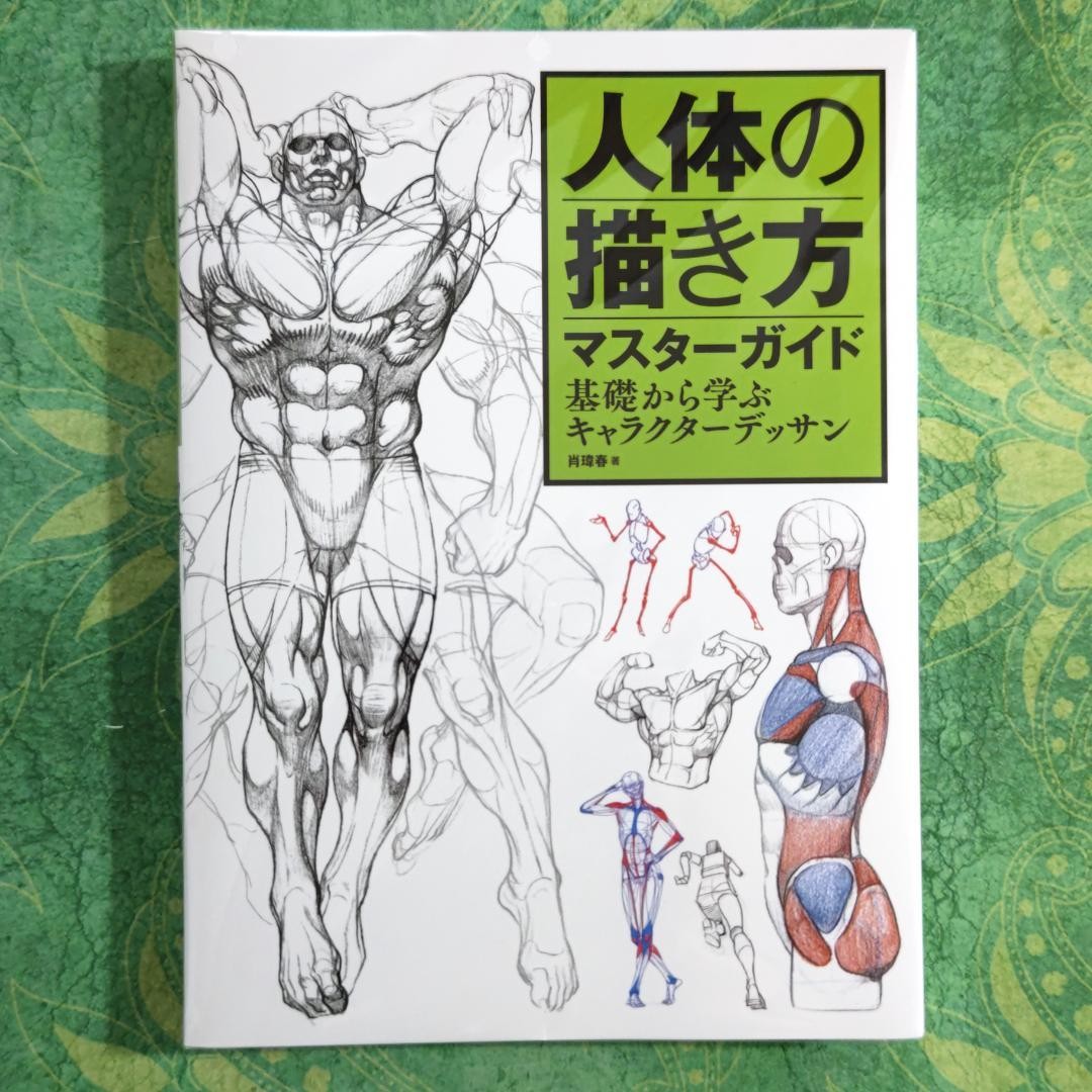 Master Guide to Drawing the Human Body Character Drawing From The Basics Book