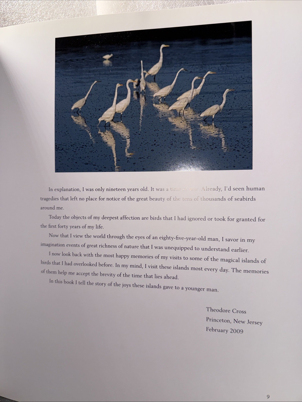 Waterbirds by Theodore Cross
