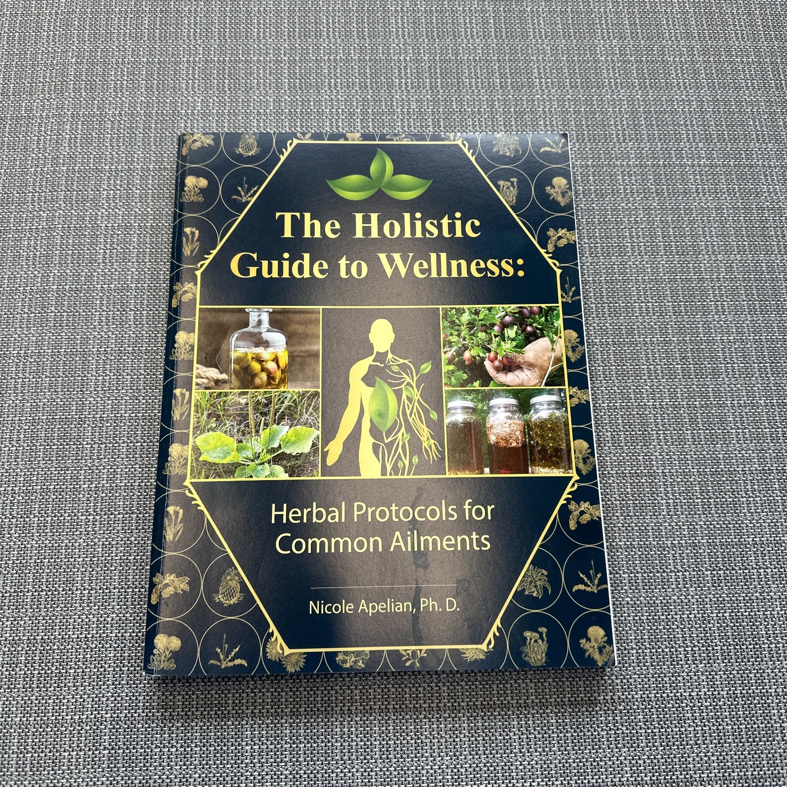 The Holistic Guide to Wellness : Herbal Protocols for Common Ailments