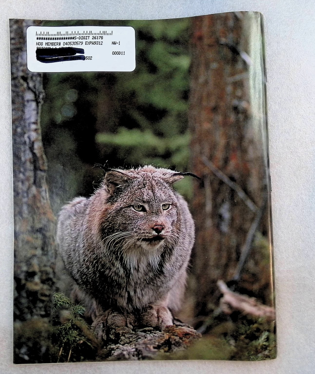 National Wildlife Magazine 1993 August-September Issue Wood Duck Lynx Natl