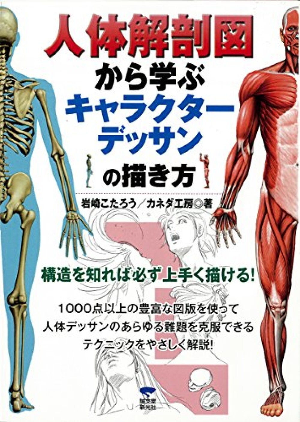 How to draw Manga character drawings learned from human anatomy diagrams