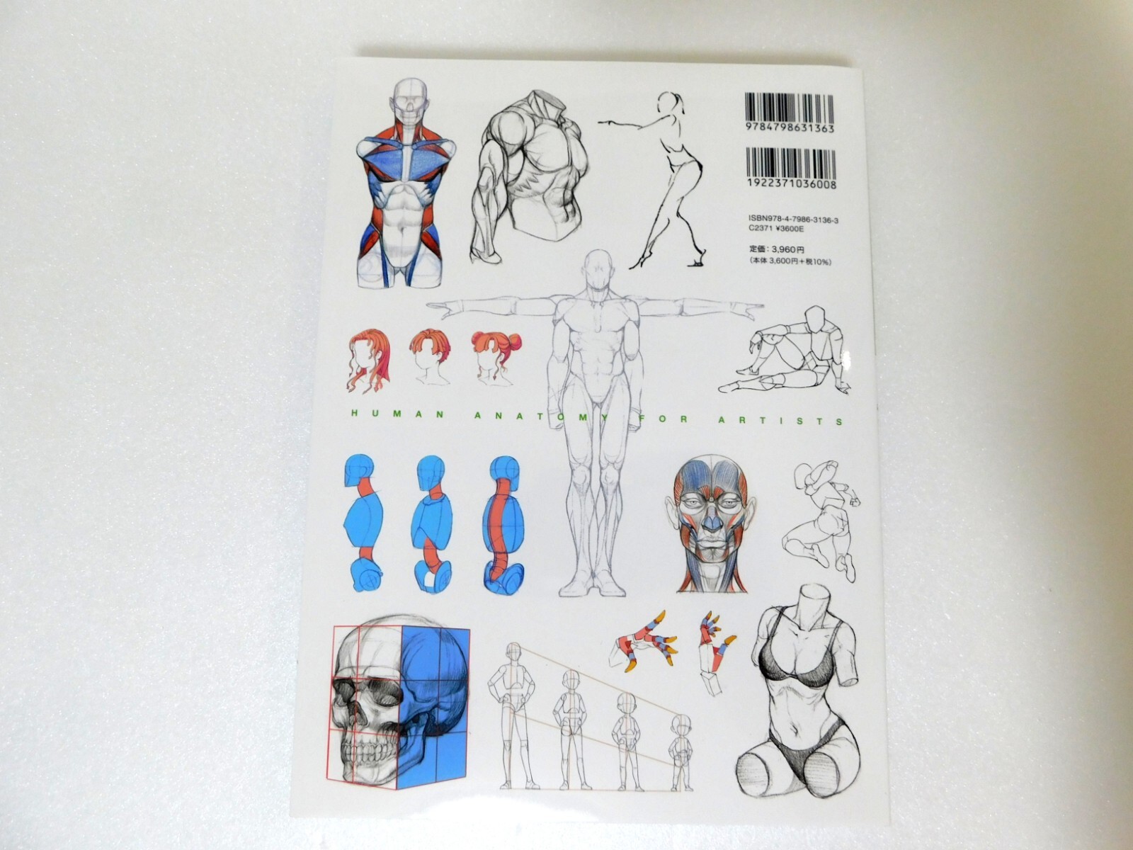 Master Guide to Drawing the Human Body Character Drawing From The Basics Book