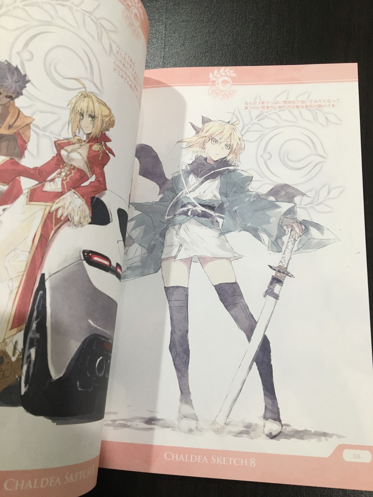 Doujinshi illustration a book CHALDEA SKETCH 8 FGO Fate/Grand Order CLOSET CHILD