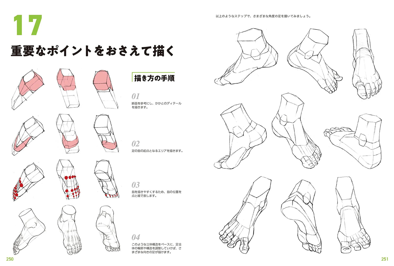 Japan NEW Master Guide to Drawing Human Figures Character Sketching Basics Manga