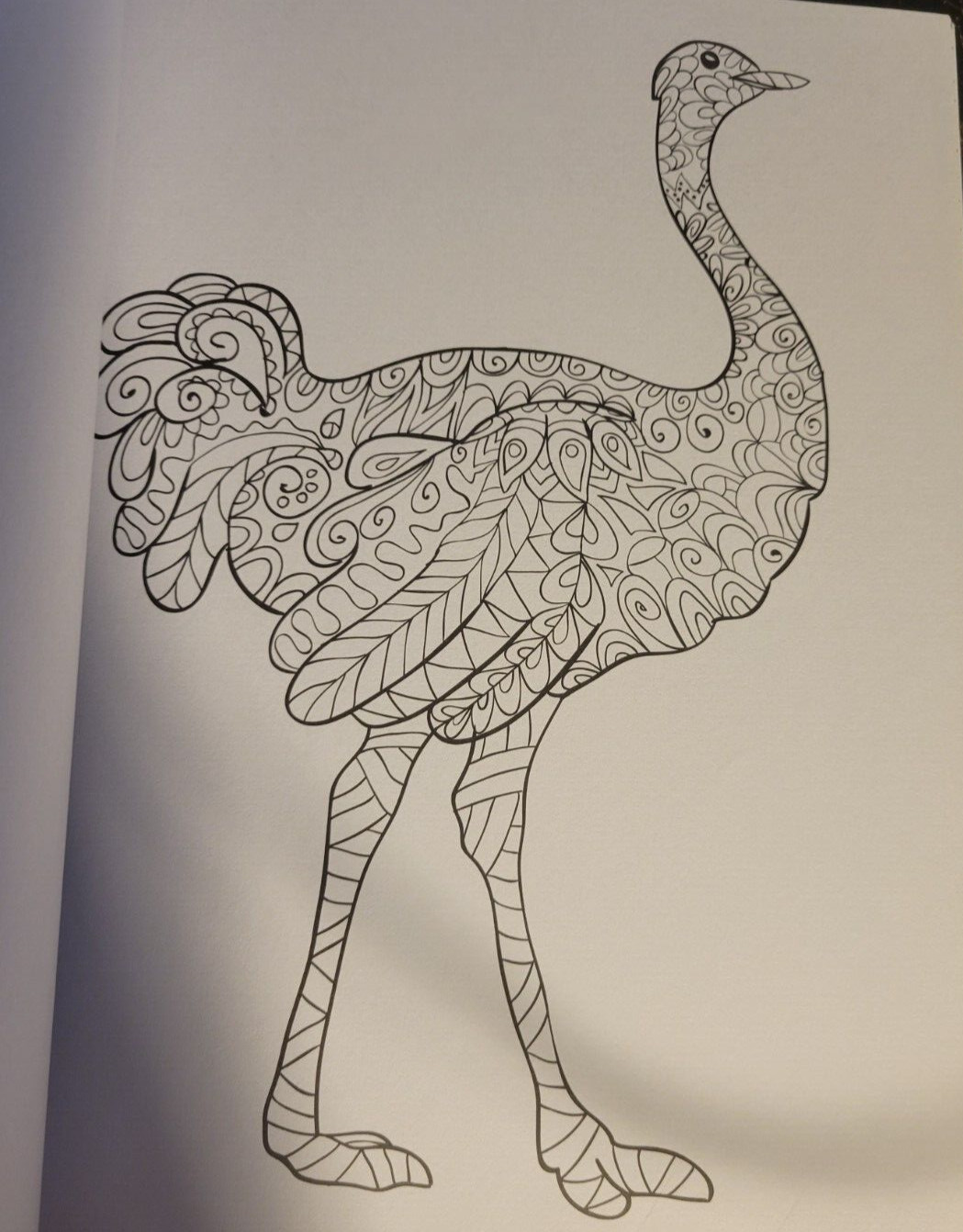 MAGNIFICENT CREATURES Vol 18 – Adult Coloring Book by TOPIX MEDIA – 47 PRINTS