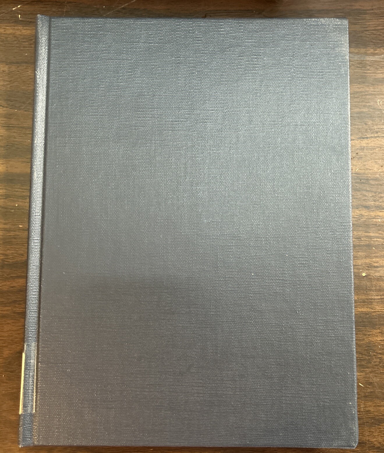 Developing Humanness, Bits and Pieces, Second Edition, Alice Peterson