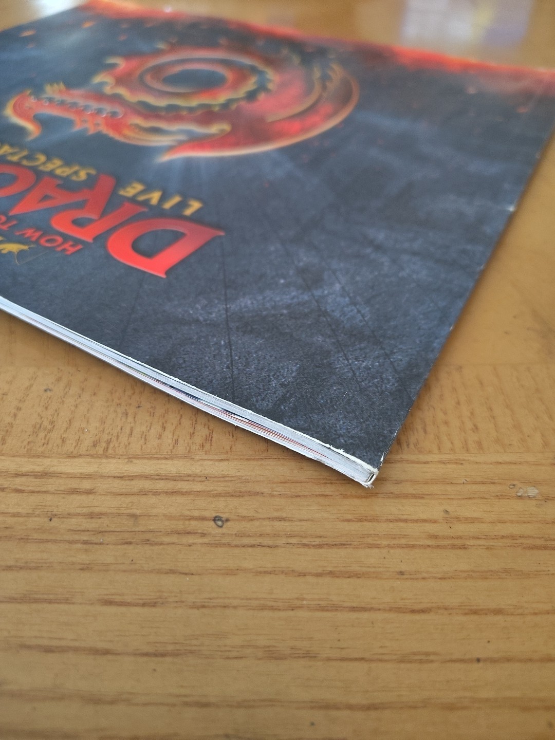 How To Train Your Dragon Live Spectacular Program Book 62 Color Pages