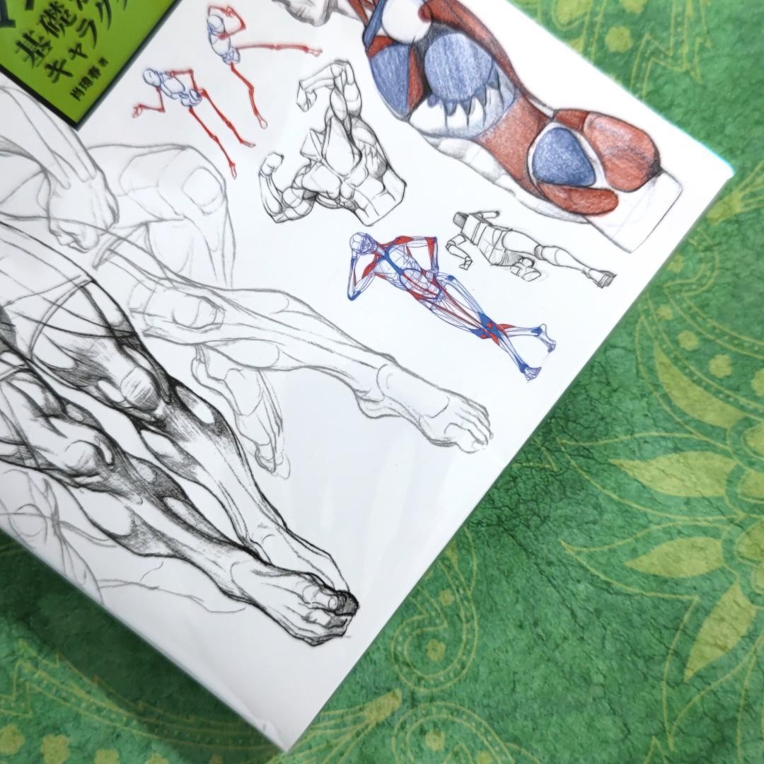 Master Guide to Drawing the Human Body Character Drawing From The Basics Book