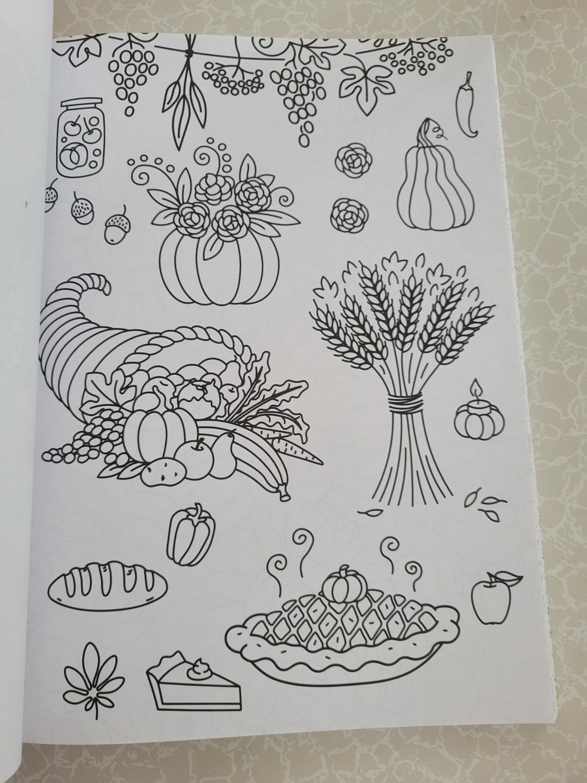 Harvest Home ADULT COLORING BOOK – Color Creatives -62 Designs Easing Stress Fun