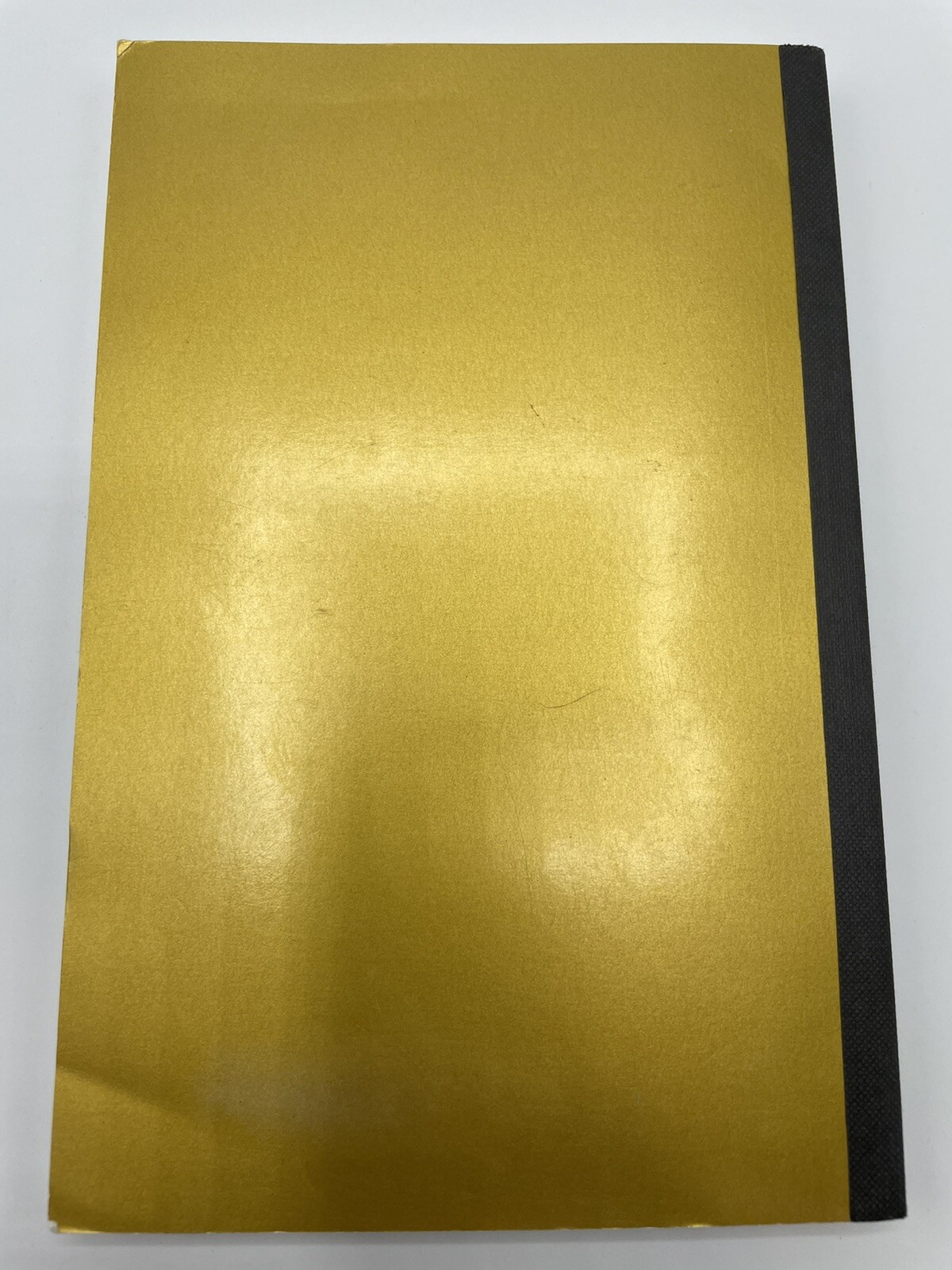 The Order of the Red Lotus The Reflection Stone paperback 194 Pages Rare