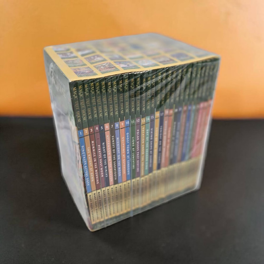 Set 2B: Magic Tree House A Library of Books 1-28 – Mary Pope Osborne Collection