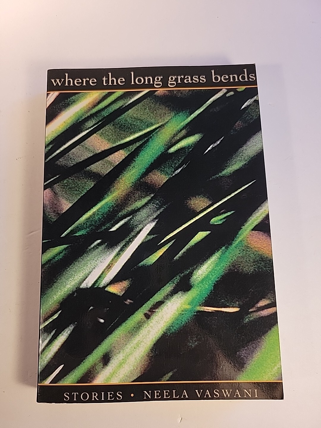 Where the Long Grass Bends : Stories by Neela Vaswani (2004, Trade Paperback)