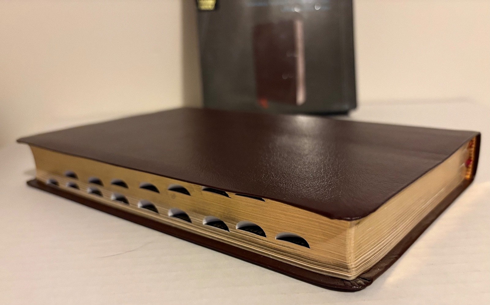 NIV, Thinline Reference Bible, Bonded Leather, Burgundy, Red Letter Edition NICE