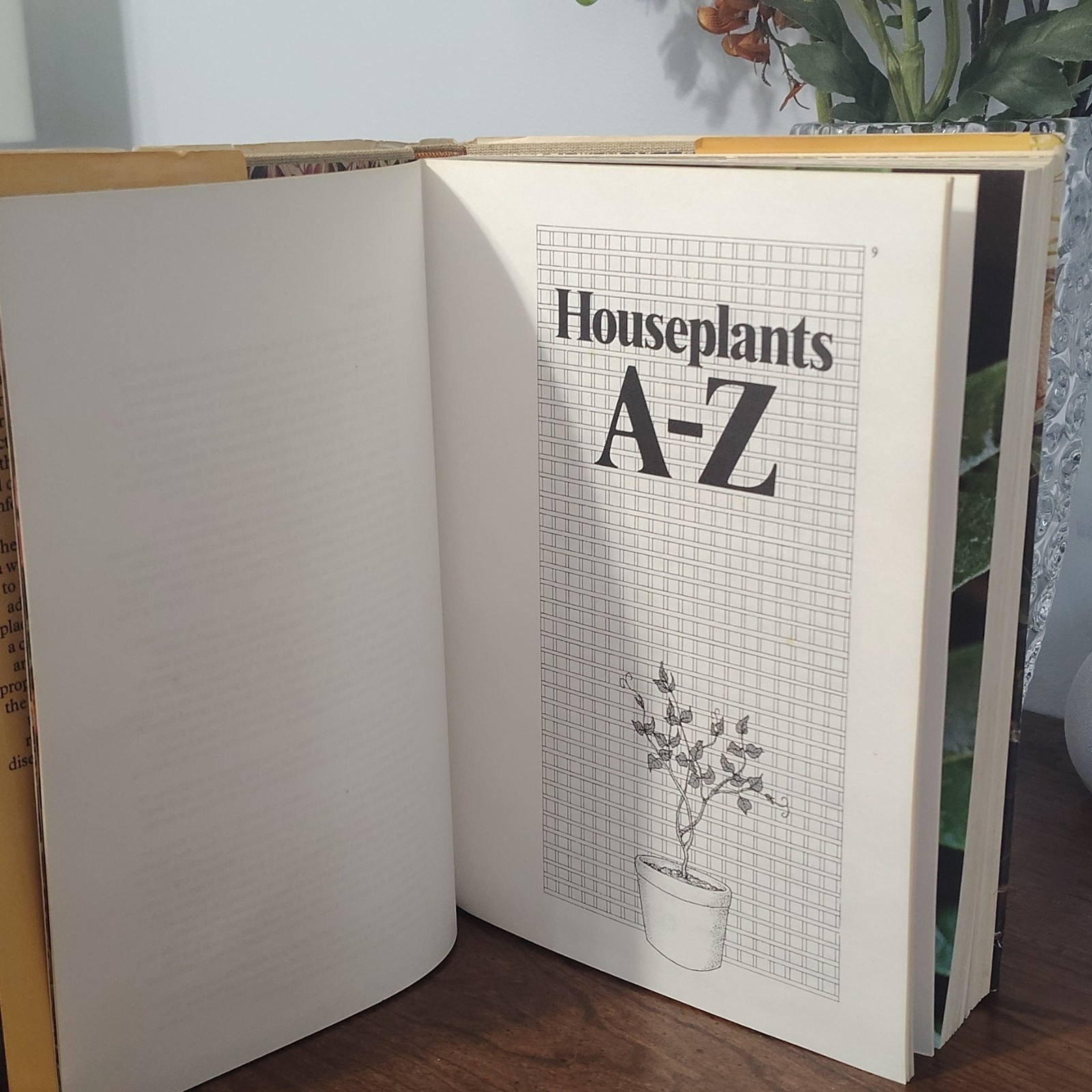 The Book of Houseplants by David Squire & Peter McHoy (1979, Hardcover, Octopus)