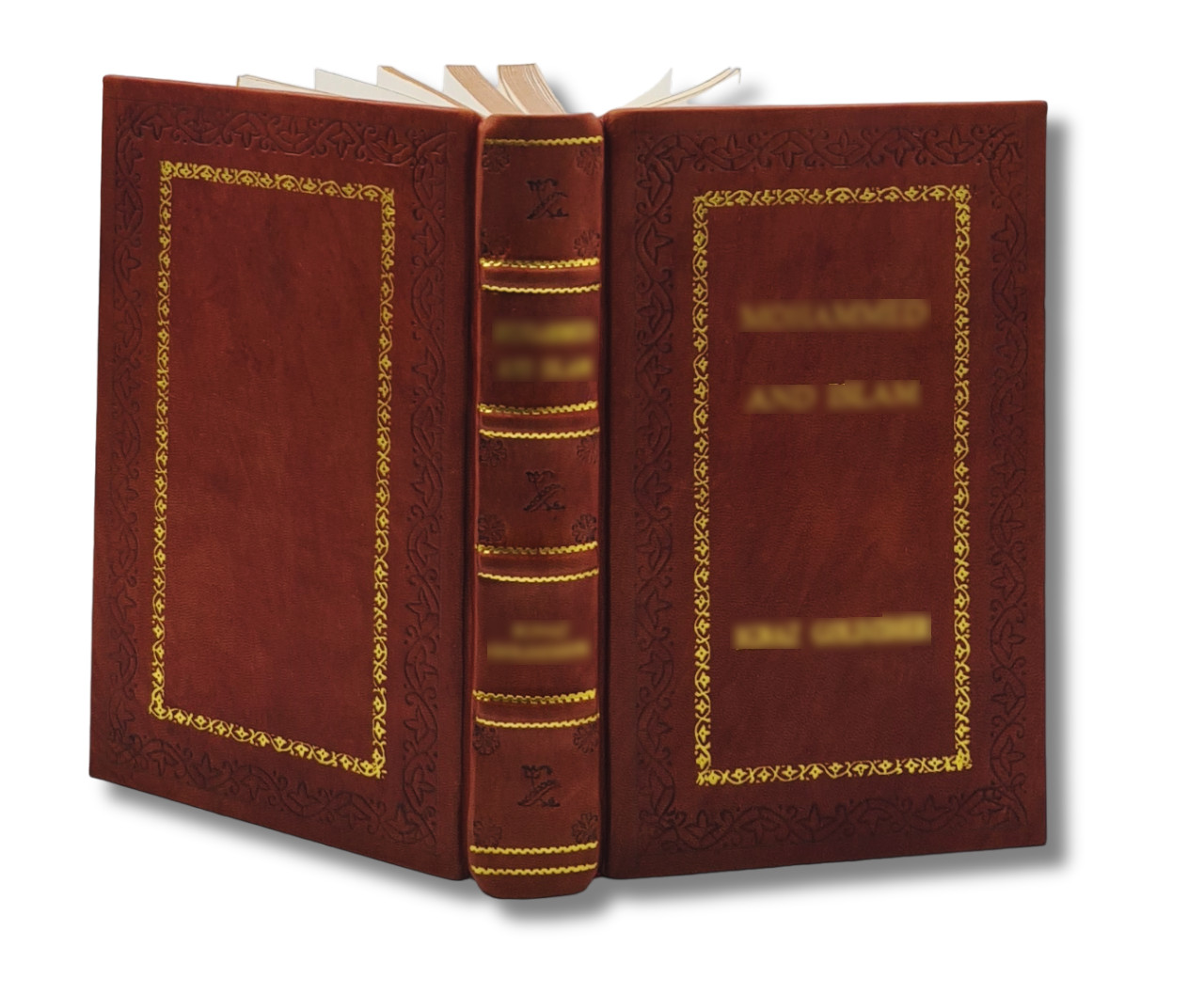 Paul’s Journal by Dixon, Keith [RoyalEdition]