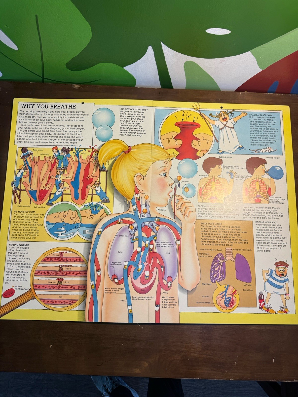 Giant Book Of The Human Body Vtg Hardcover Book 1990 Neil Ardley James West