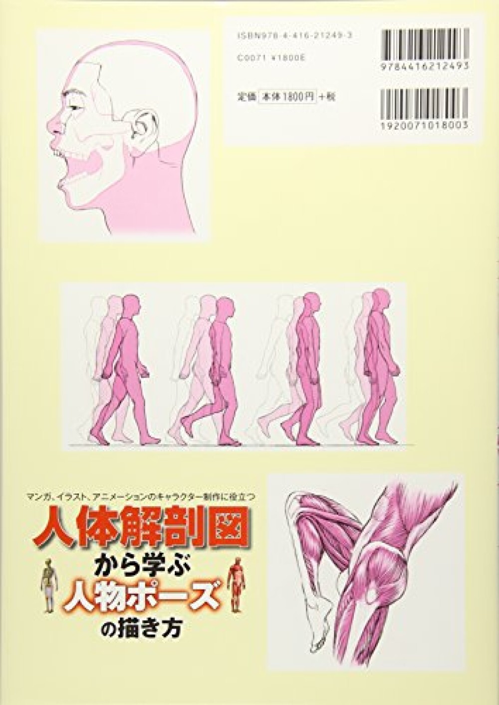 How to draw Manga Learn human poses from human anatomy diagrams
