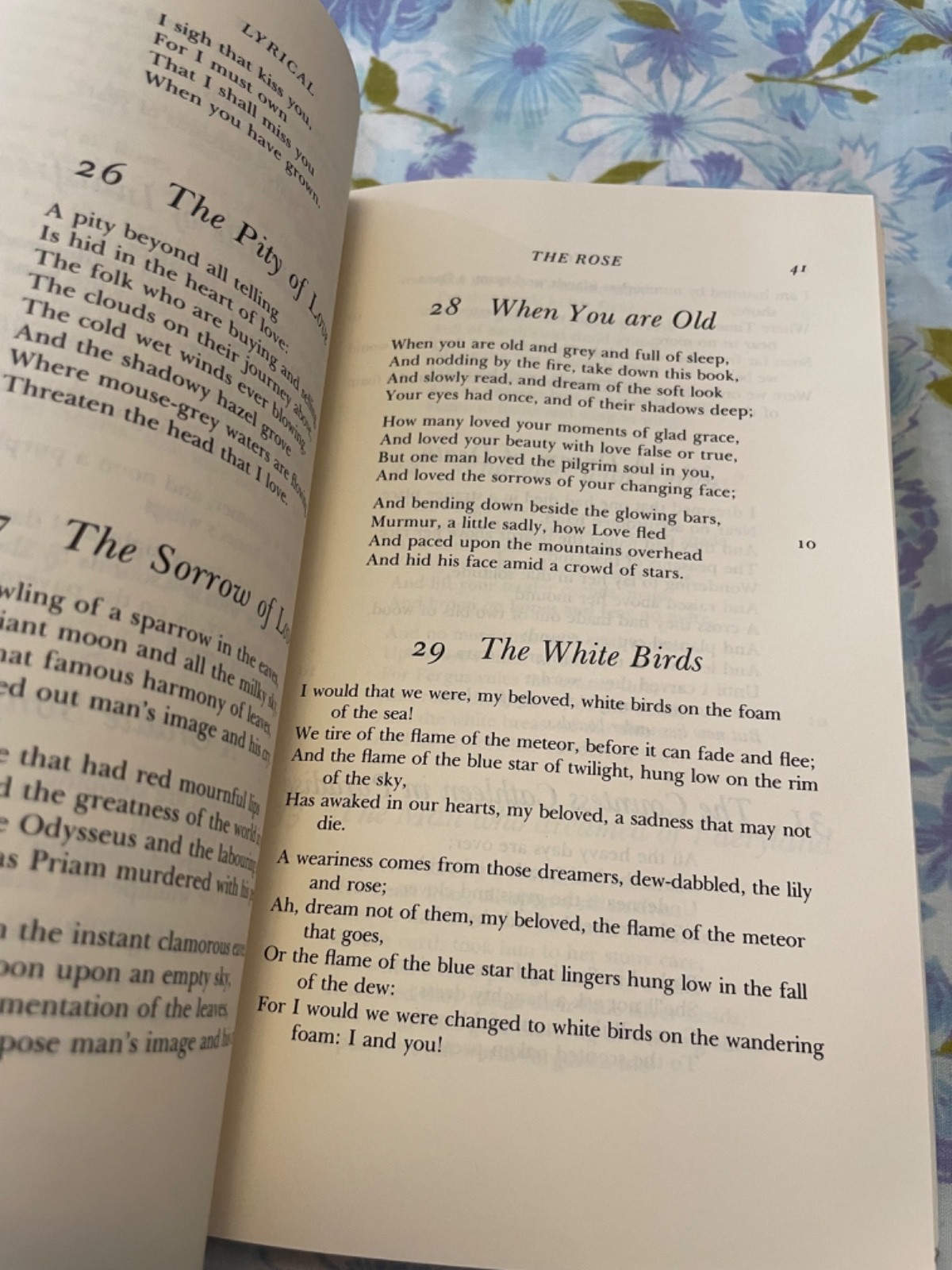 BOOK The Collected works of W B YEATS The Poems Volume 1 Revised Hardcover