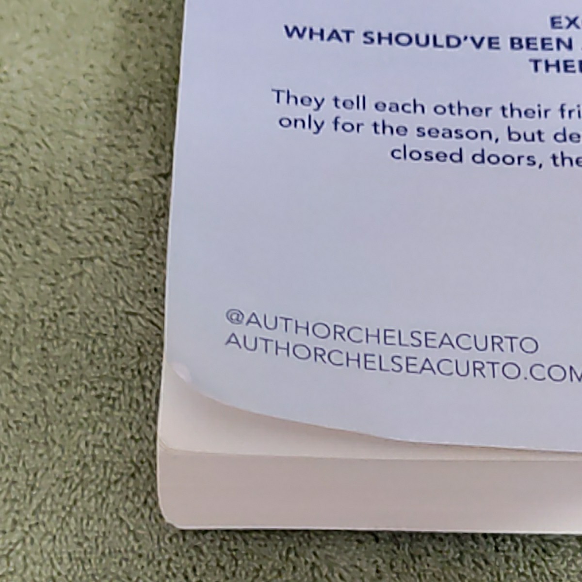 Chelsea Curto DC Stars Series Lot of 5 Hockey Romance Books Sin Bin, Slap M-1