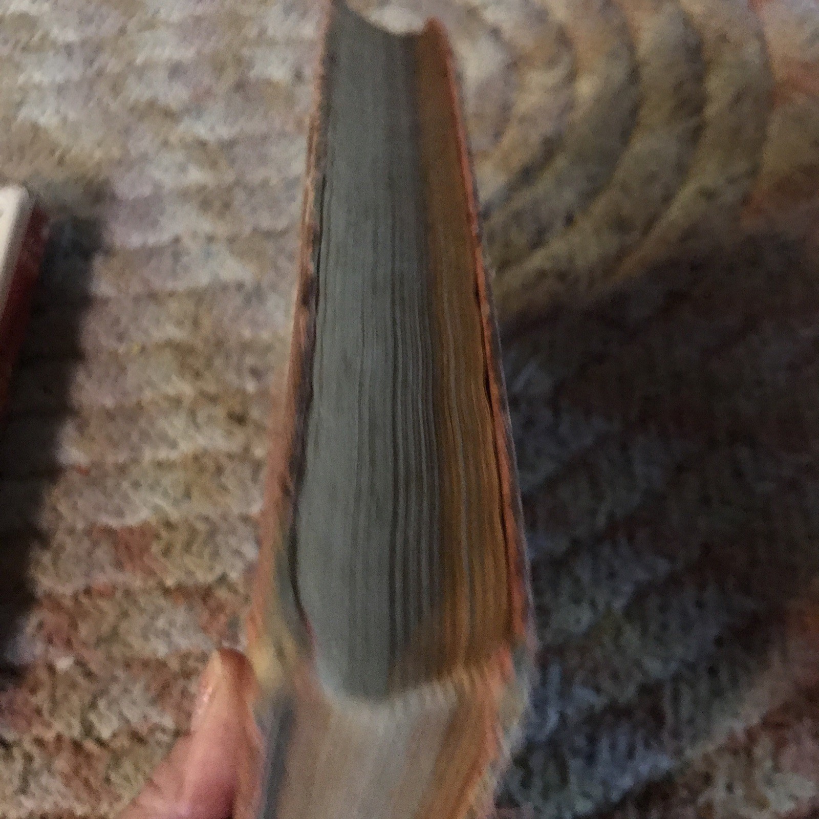 Sunshine and Roses book, by charlotte m. braeme,Hardcover antique