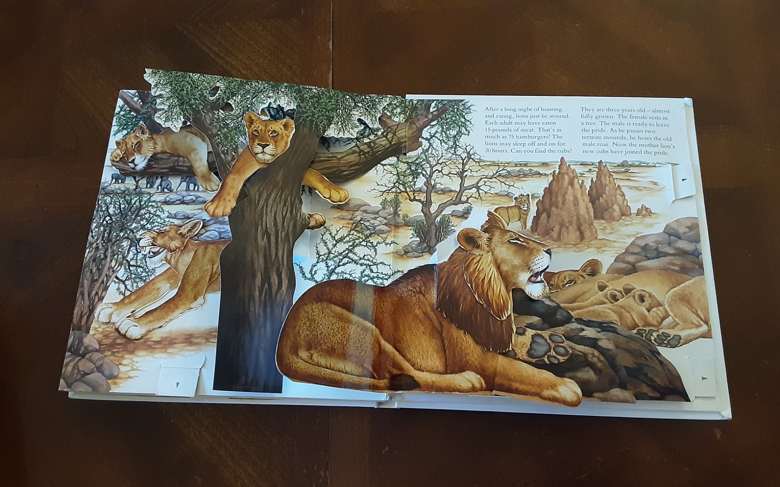 Dinosaurs National Geographic Action Book Lot 5 African Lion Australia Monkeys