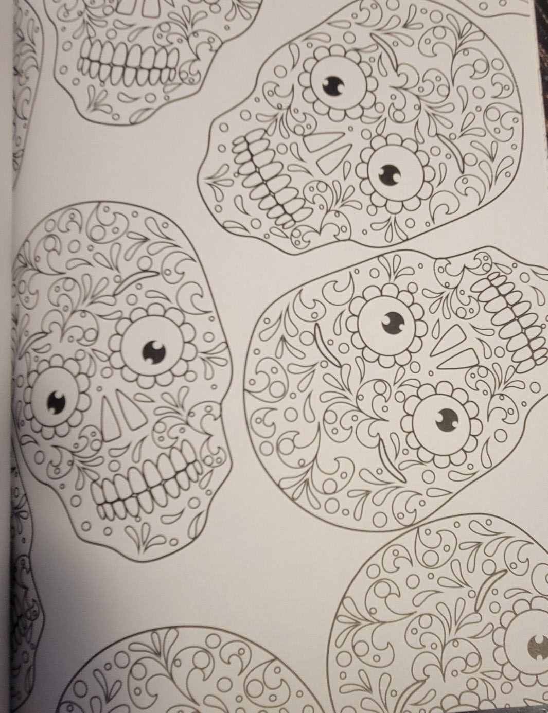 DAY OF THE DEAD Vol 5 Adult Coloring Book With 47 Prints Ready To Frame