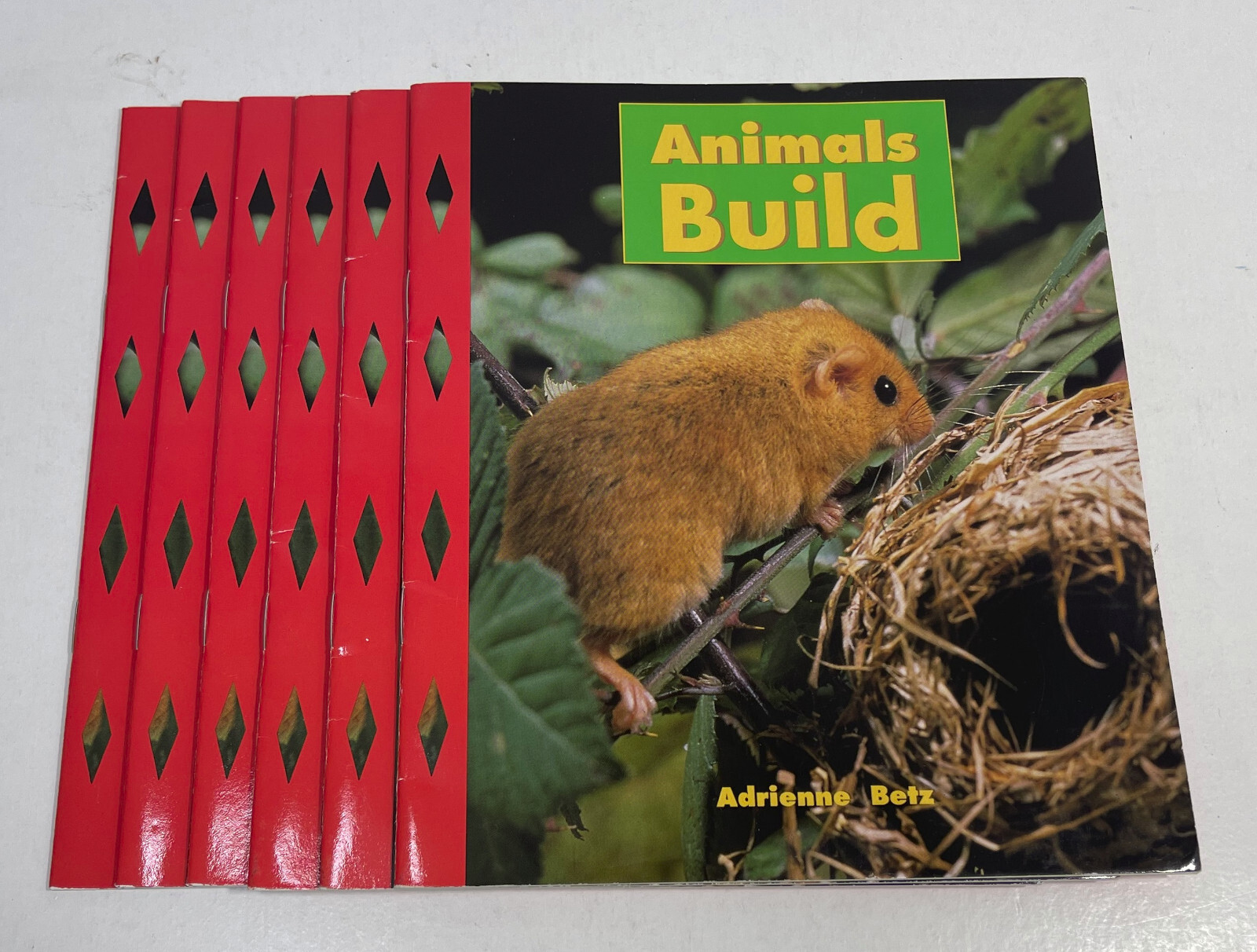 Animals Build, Adrienne Betz, 6 Pack Books, Grade 1 Level H
