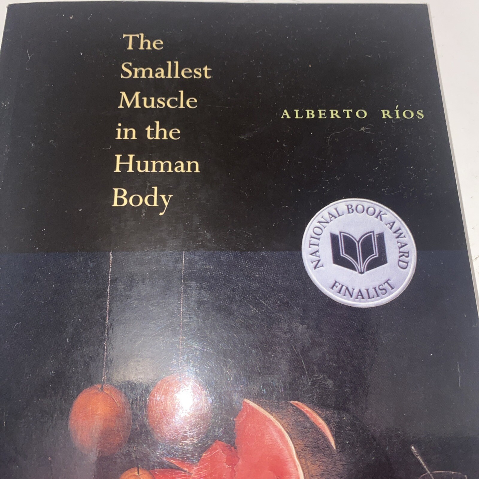 The Smallest Muscle in the Human Body Alberto Rios Poetry Book PB Copper Canyon