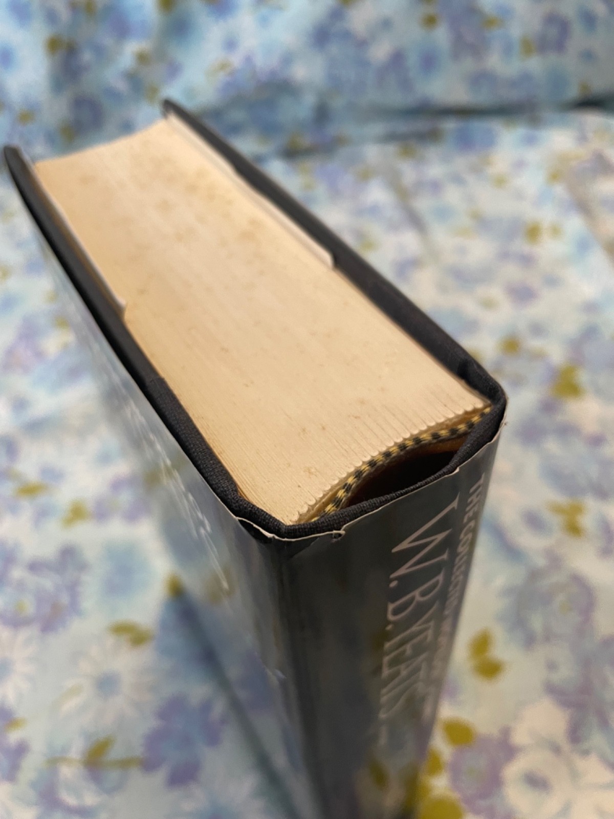 BOOK The Collected works of W B YEATS The Poems Volume 1 Revised Hardcover