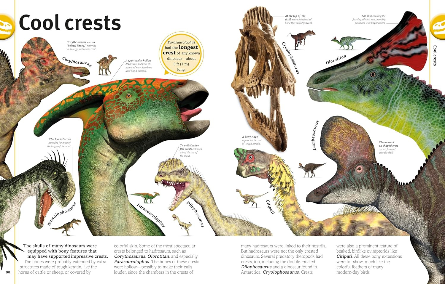 Our World in Pictures The Dinosaur Book