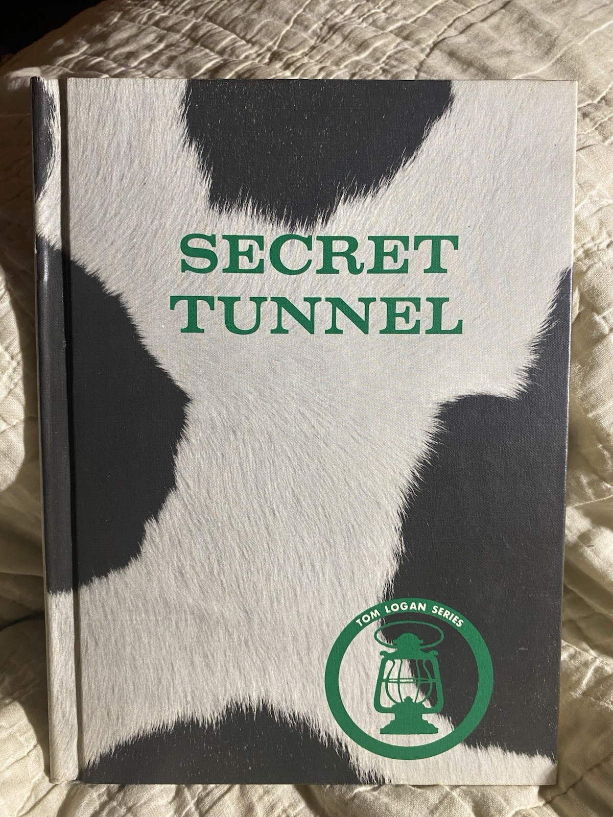 Vtg Tom Logan Series Secret Tunnel Edna Walker Chandler Benefic Press 1967