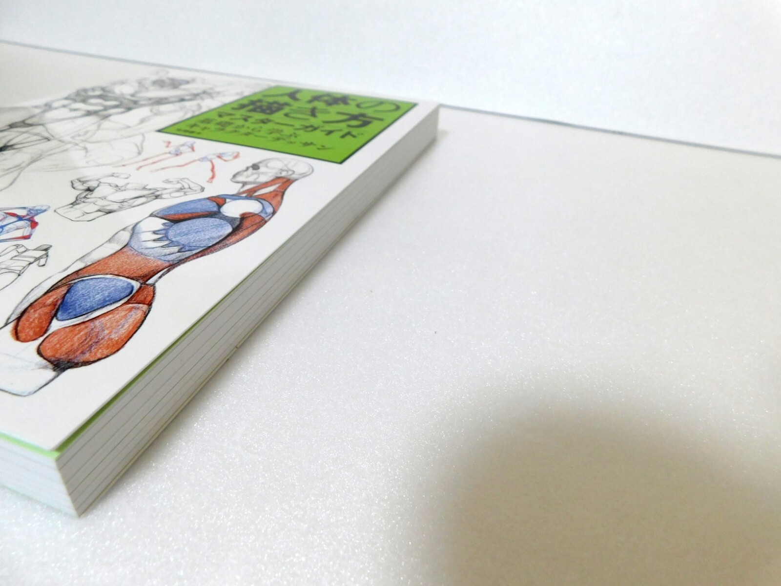 Master Guide to Drawing the Human Body Character Drawing From The Basics Book