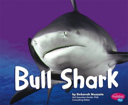 Bull Shark [Scholastic]