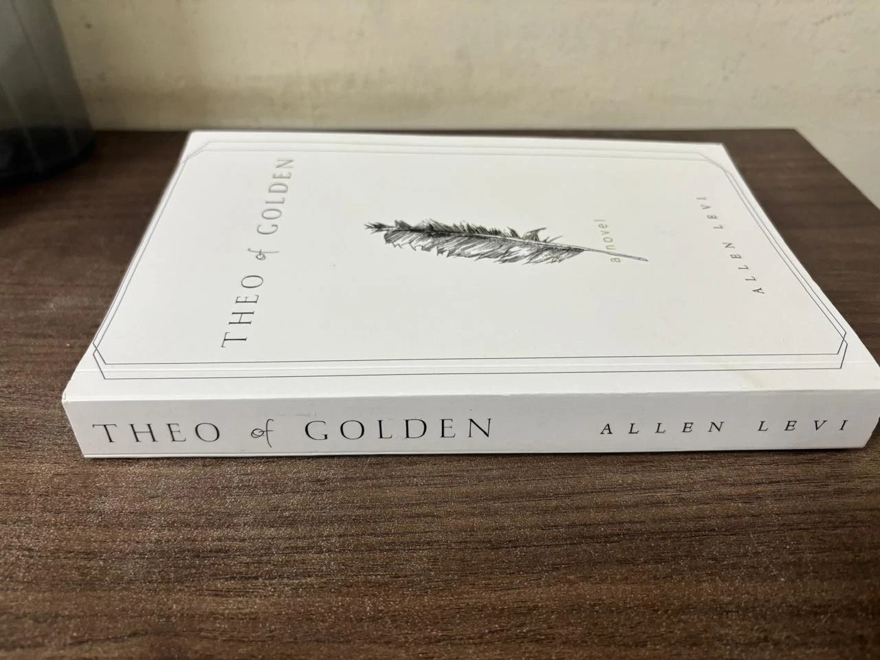 Theo of Golden Paperback by Allen Levi New book usa stock