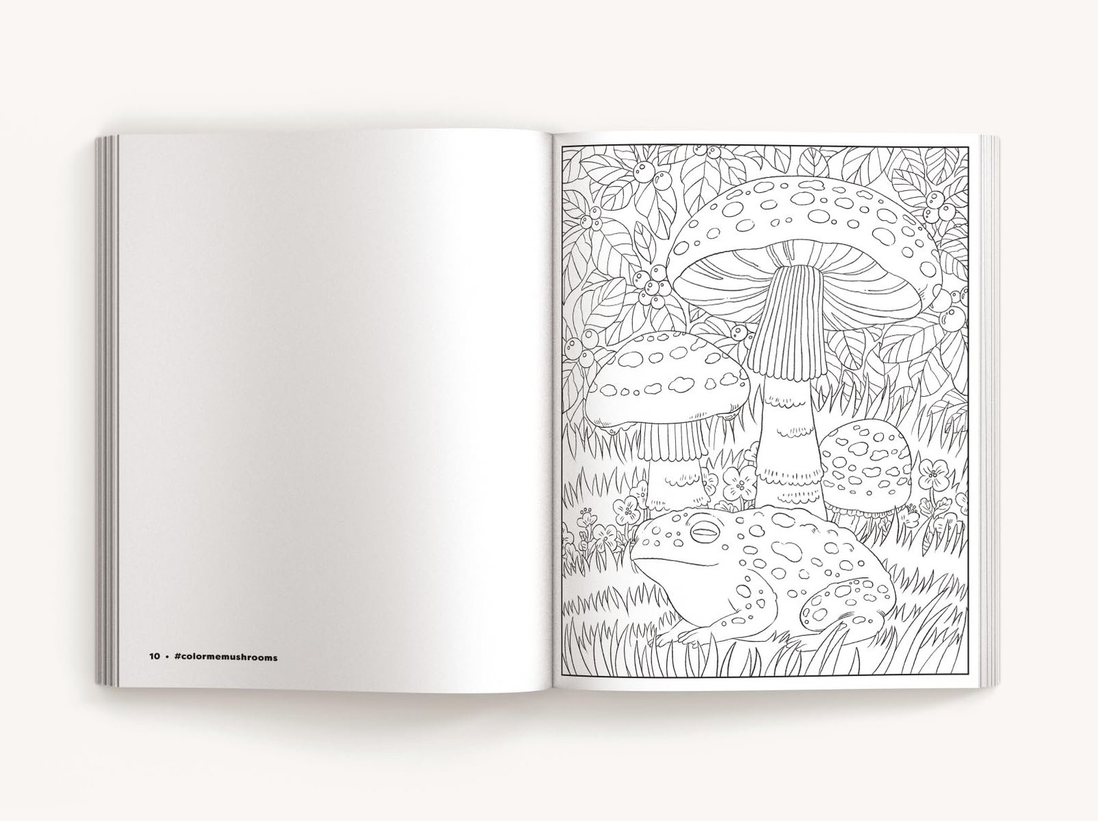 Color Me Mushrooms: A Funky Fungi Coloring Book (Color Me Coloring Books)