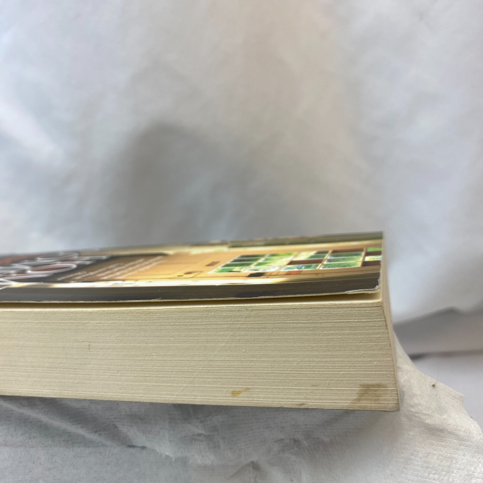 Home Coming By Susie Steiner- Paperback