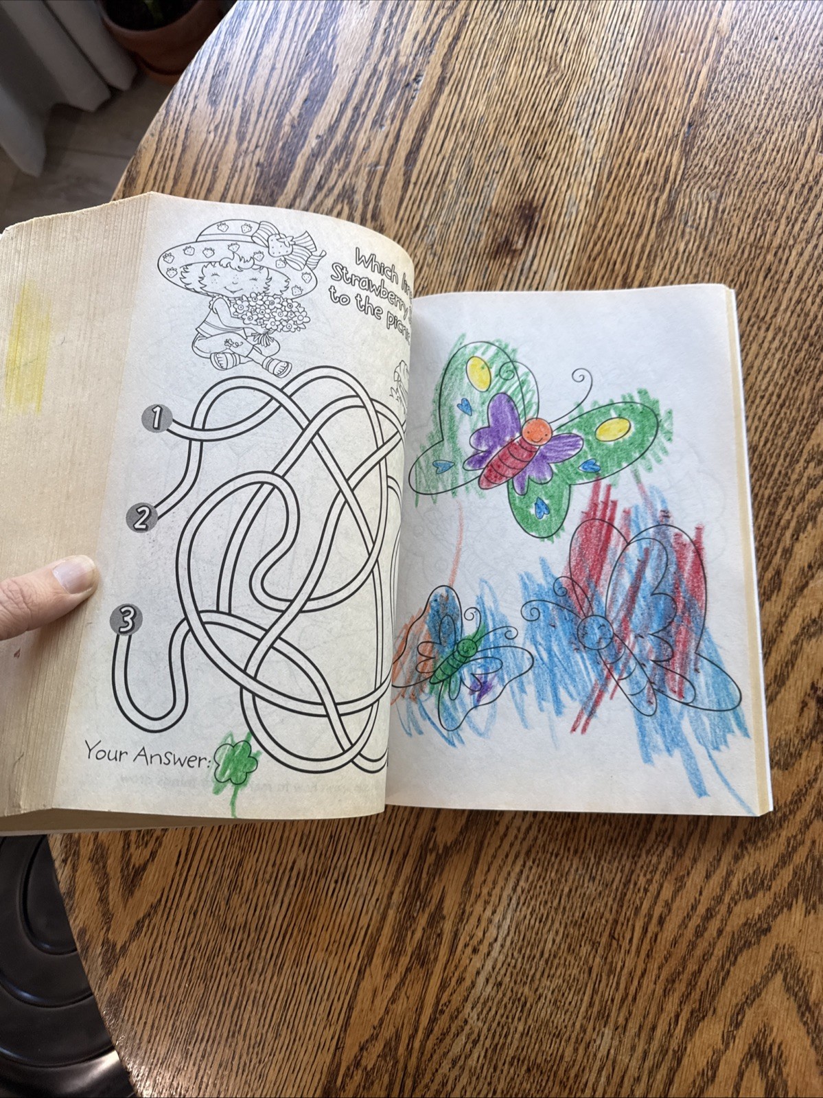Strawberry Shortcake: : 400 Pages of Coloring Fun! (Strawberry Shortcake) BB