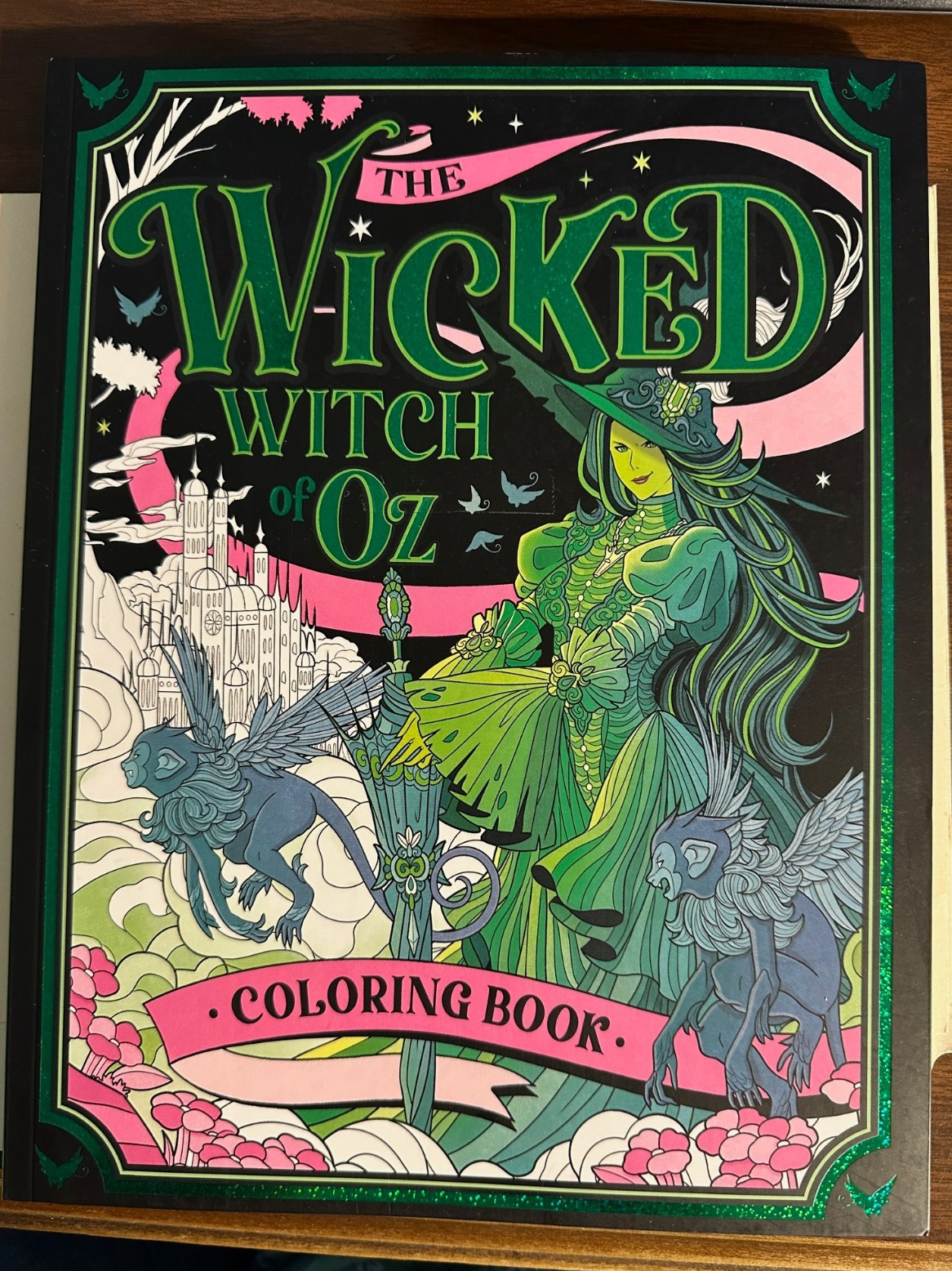 The Wicked Witch of Oz Adult Coloring Book 46 Pages brand NEW