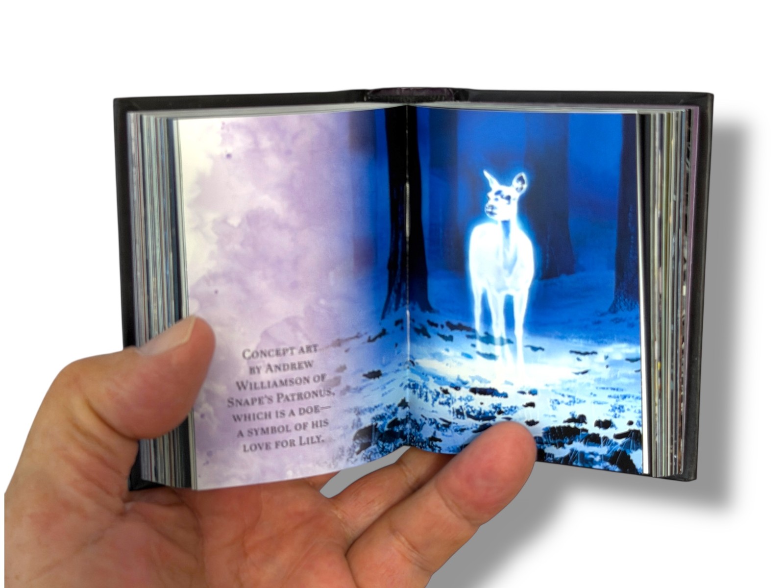 From the Films of Harry Potter The Mini Book of Dark Arts Hardcover 304 pages